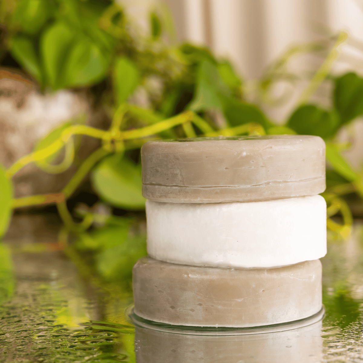 Soften+Smooth Conditioner Bar